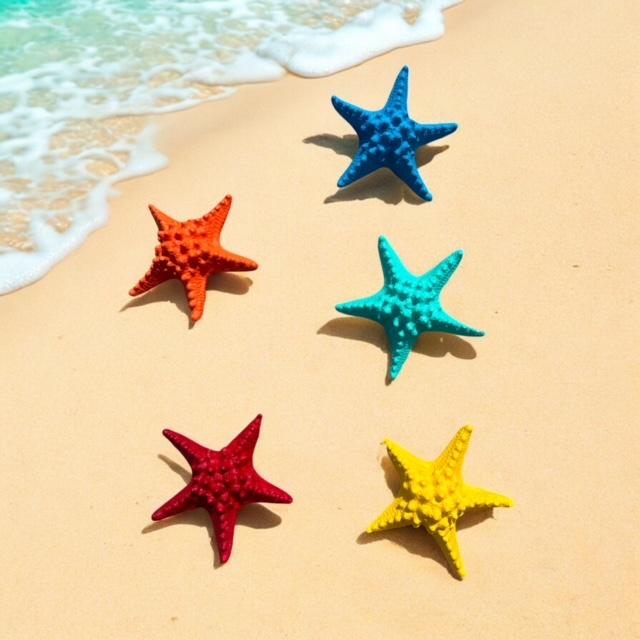 Büyük Boy Deniz Yıldızı