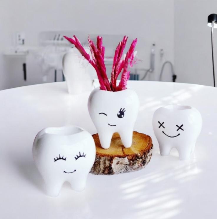 Diş Şeklinde Sukulent Saksı