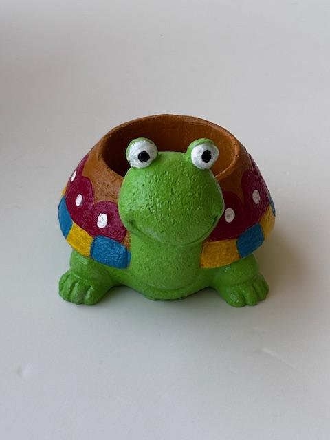 Happy Frog Sukulent Saksı